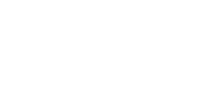 Crazygoose White